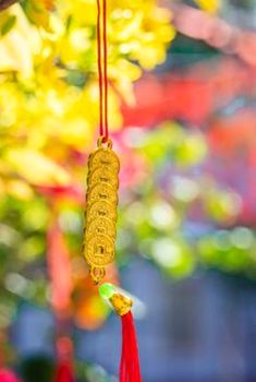 phiên bản Nohu mới nhất